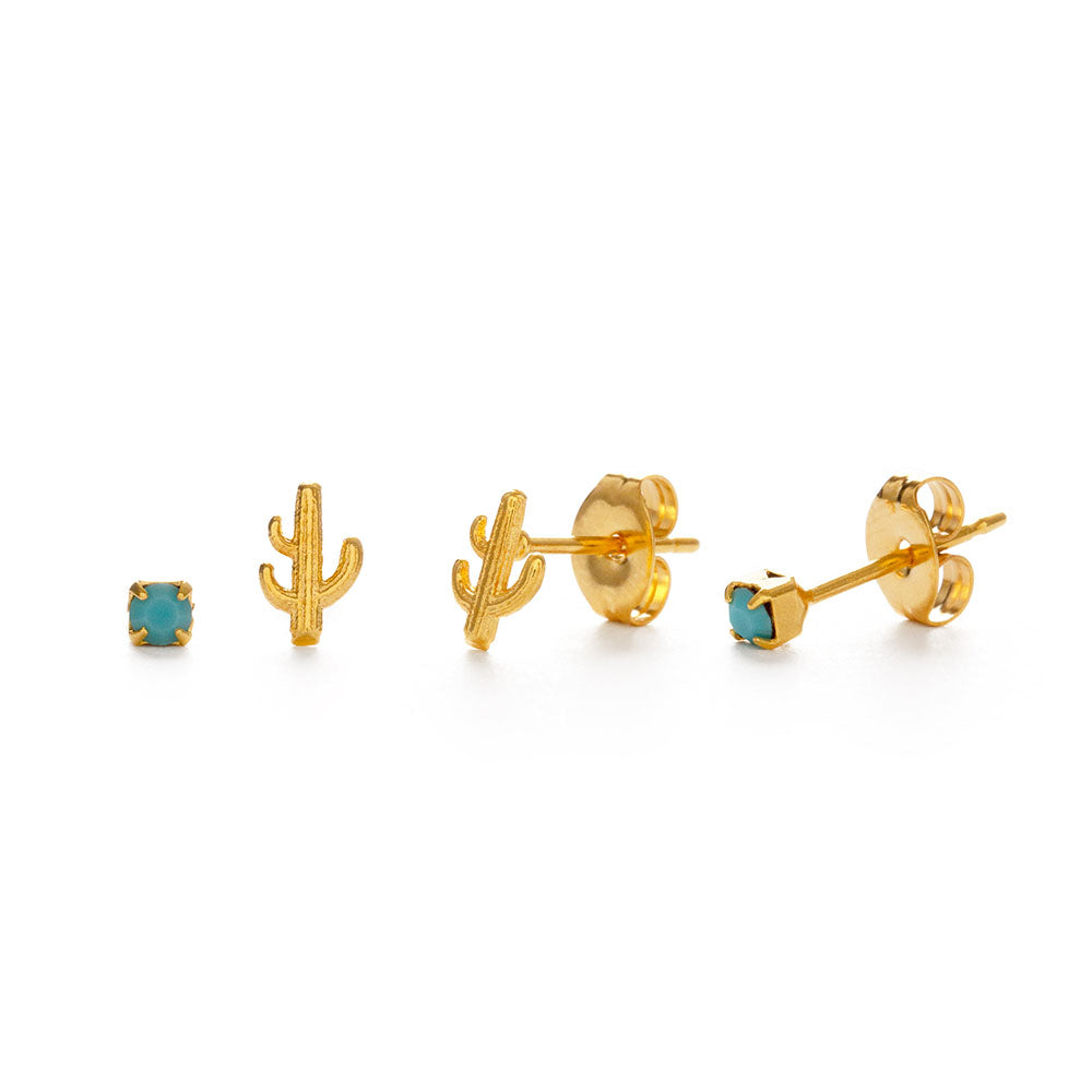 Cactus & Turquoise stud set