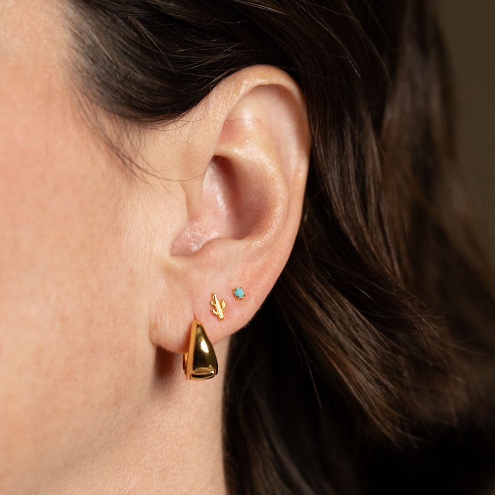 Cactus & Turquoise stud set