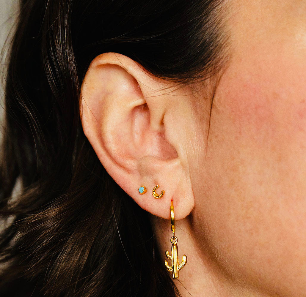 Horseshoe studs