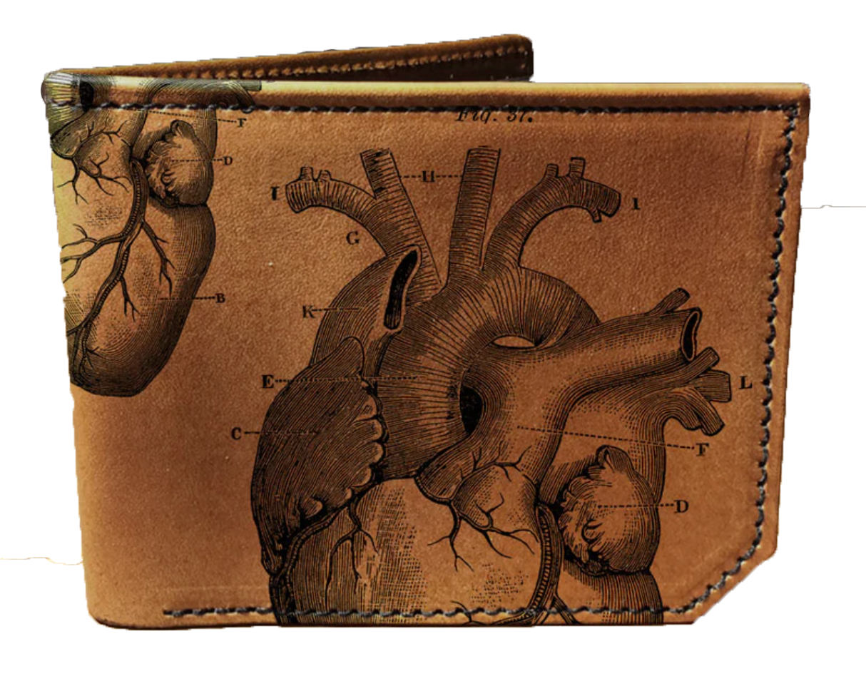 Anatomical Heart Billfold