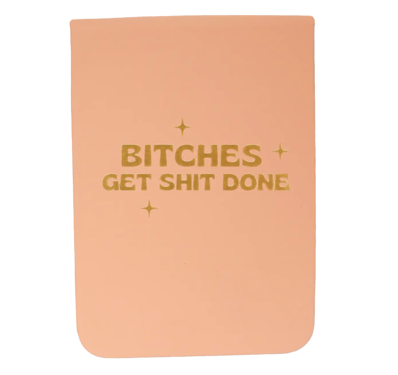 Bitches Get Shit Done journal
