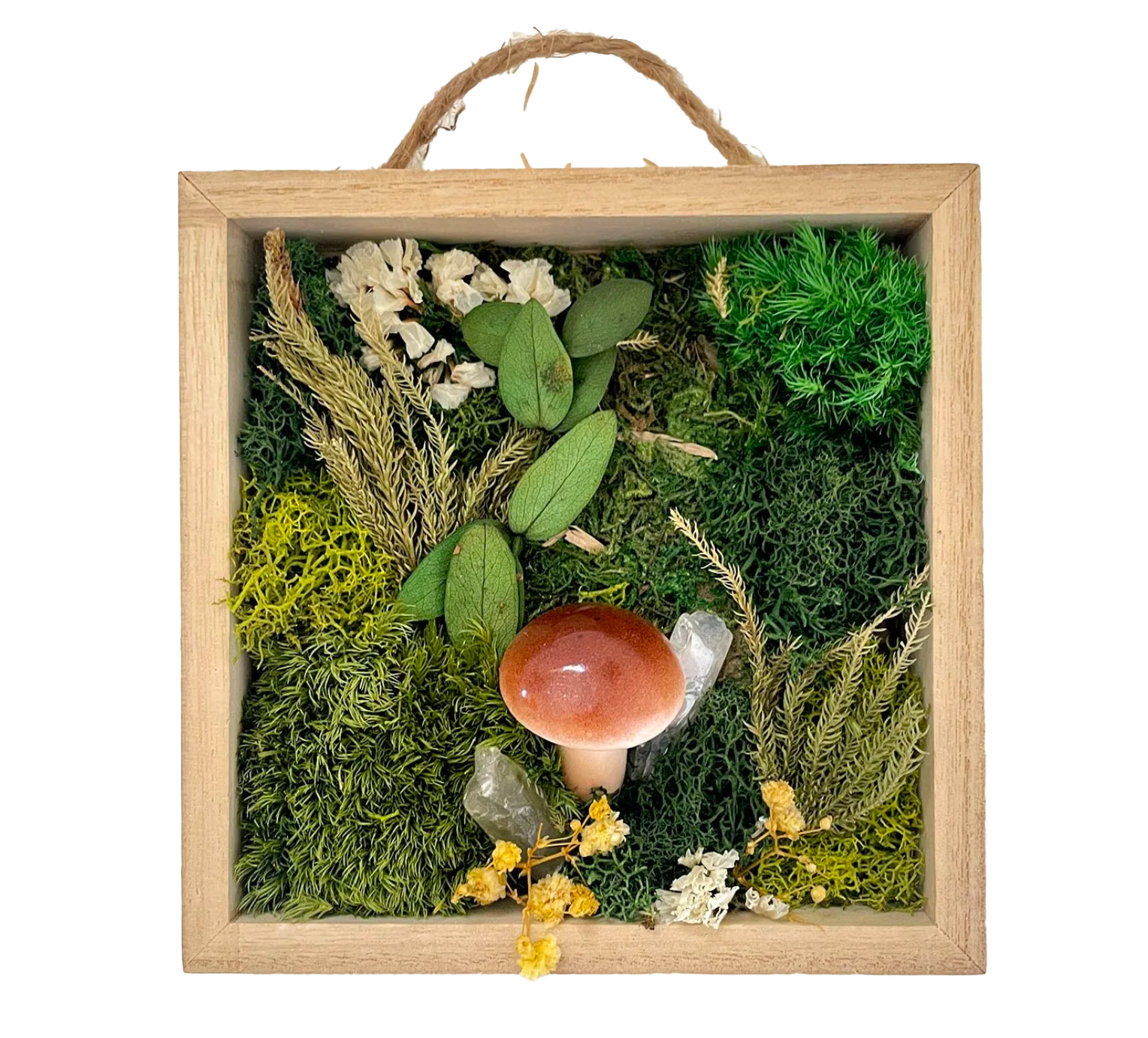 Moss & Mushroom DIY Kit