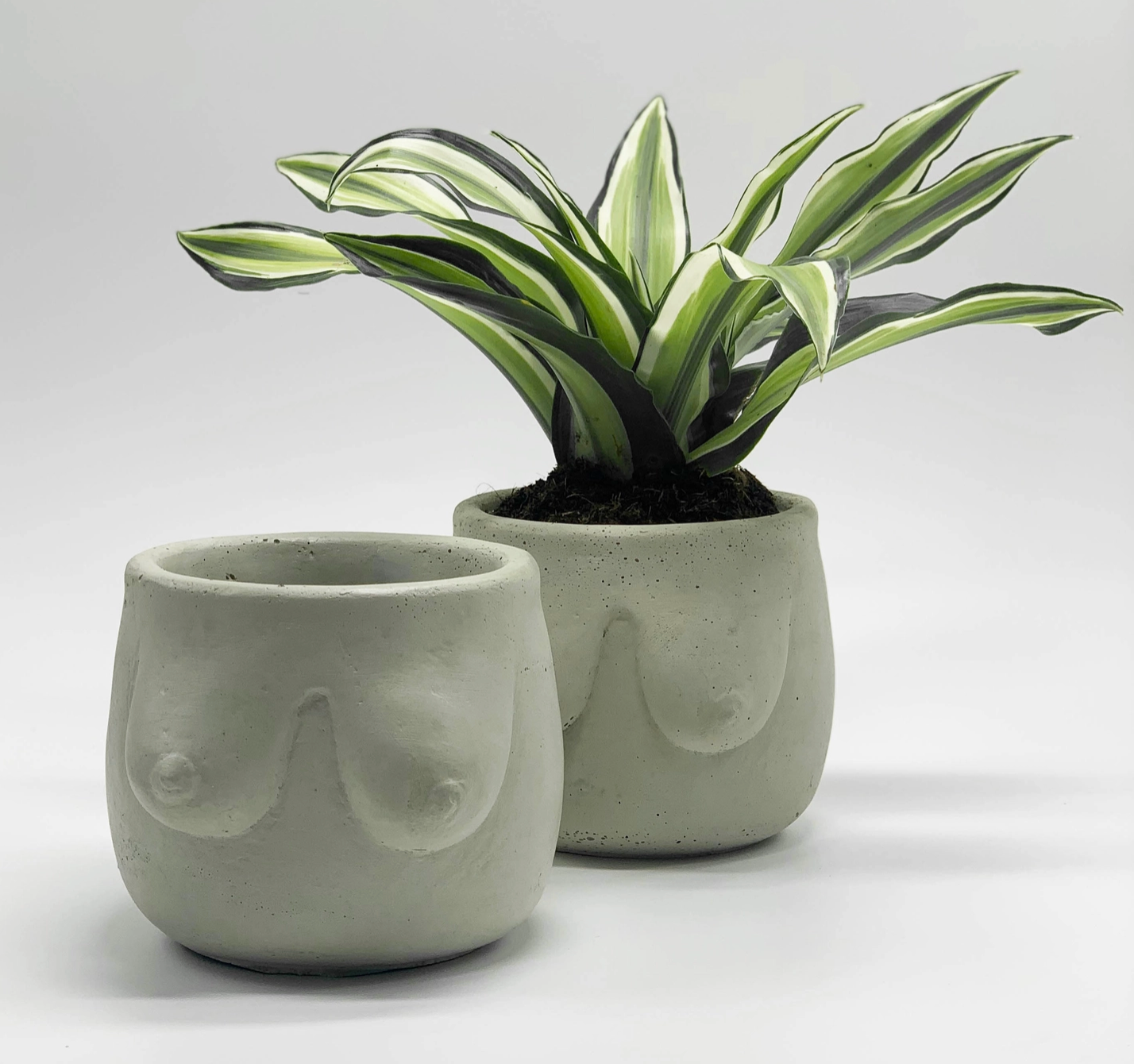 Hera Concrete Planter