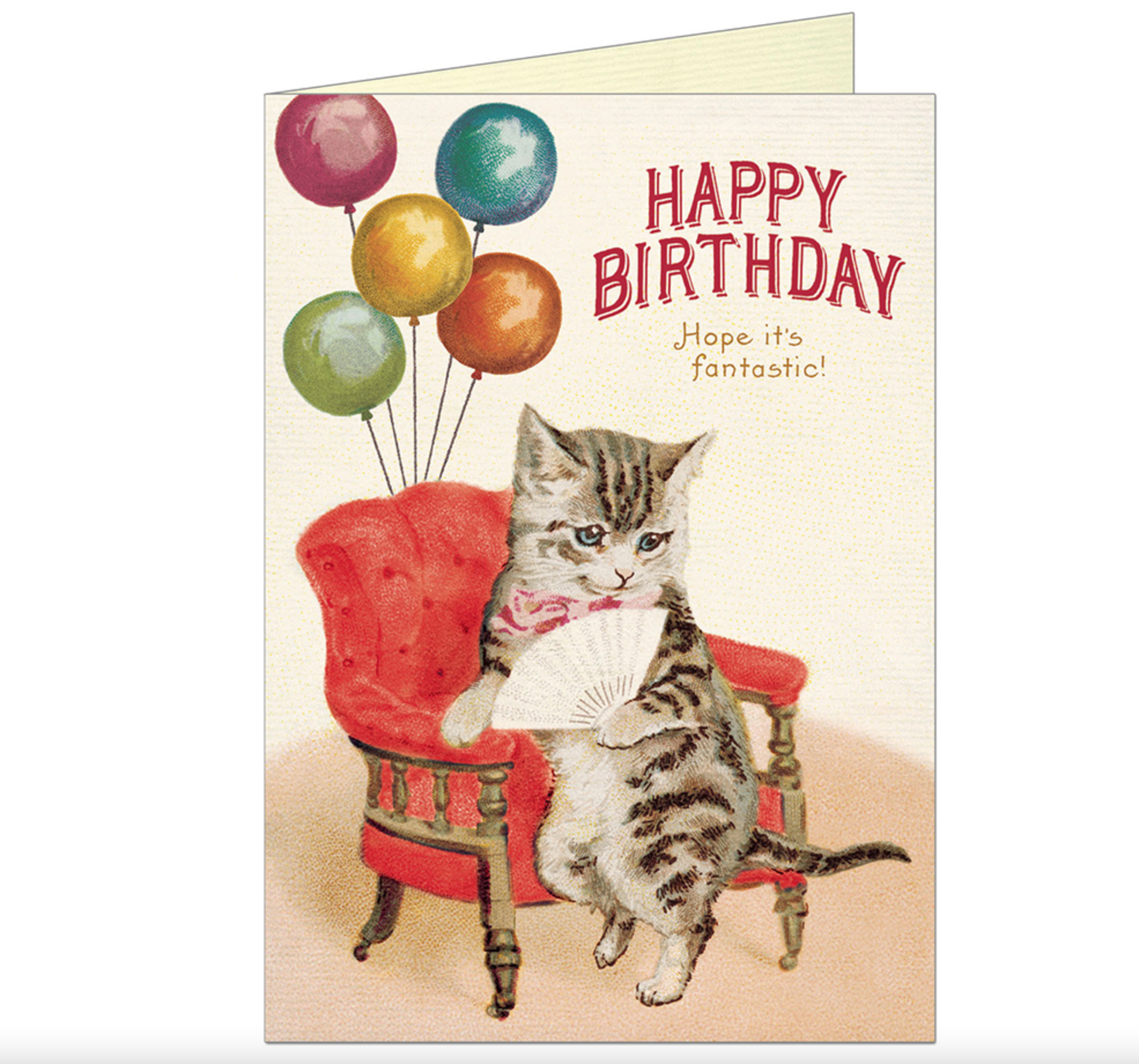 Birthday Cat Fan greeting card