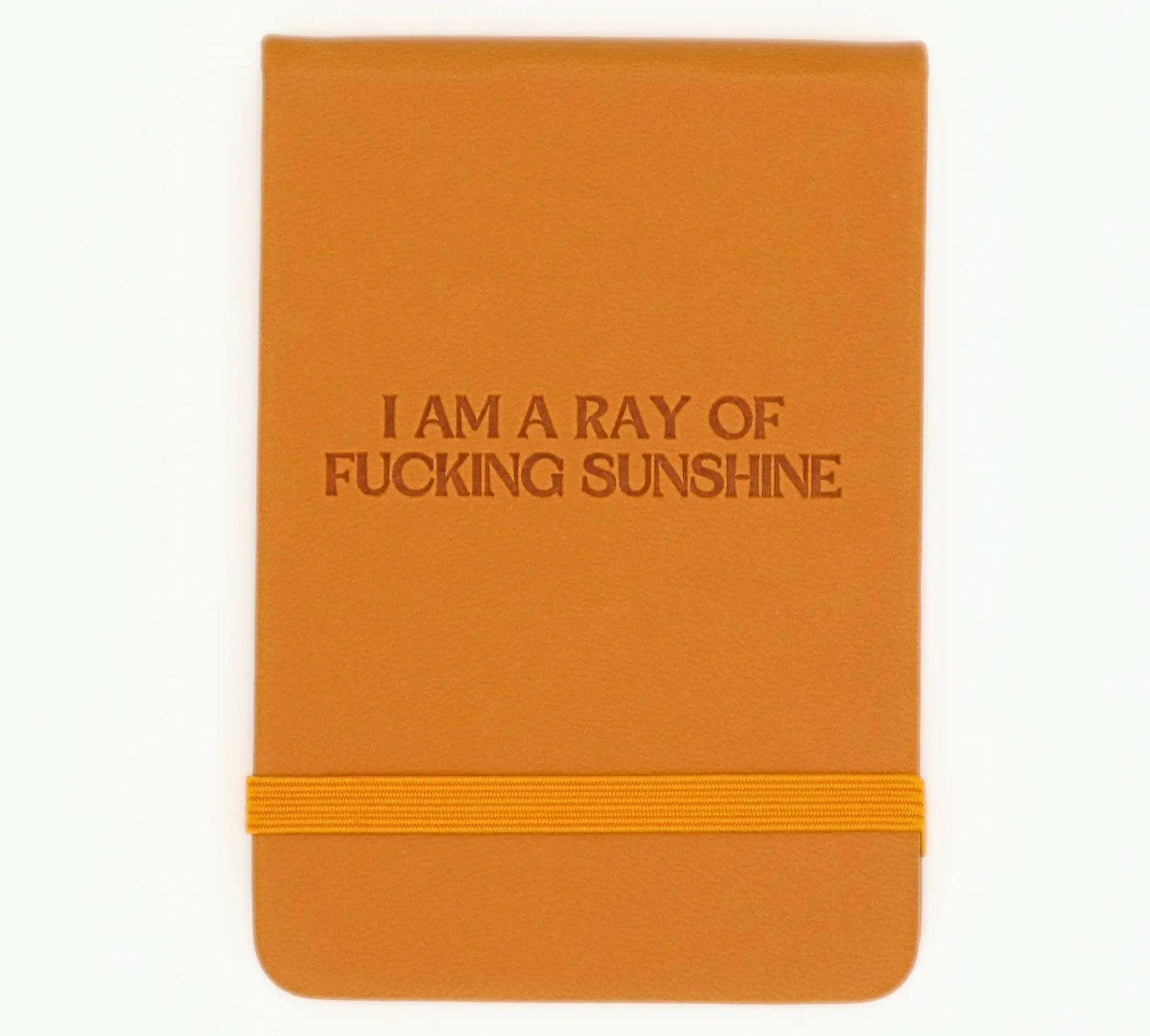 Fucking Sunshine journal