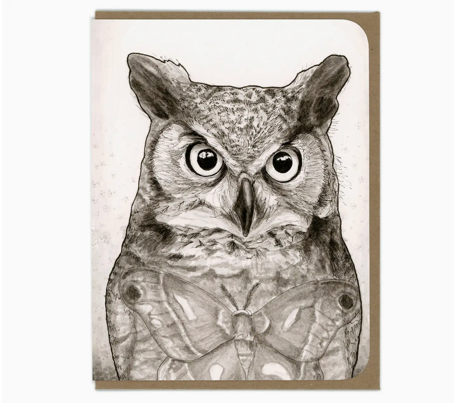 Owl and Moth card Amy