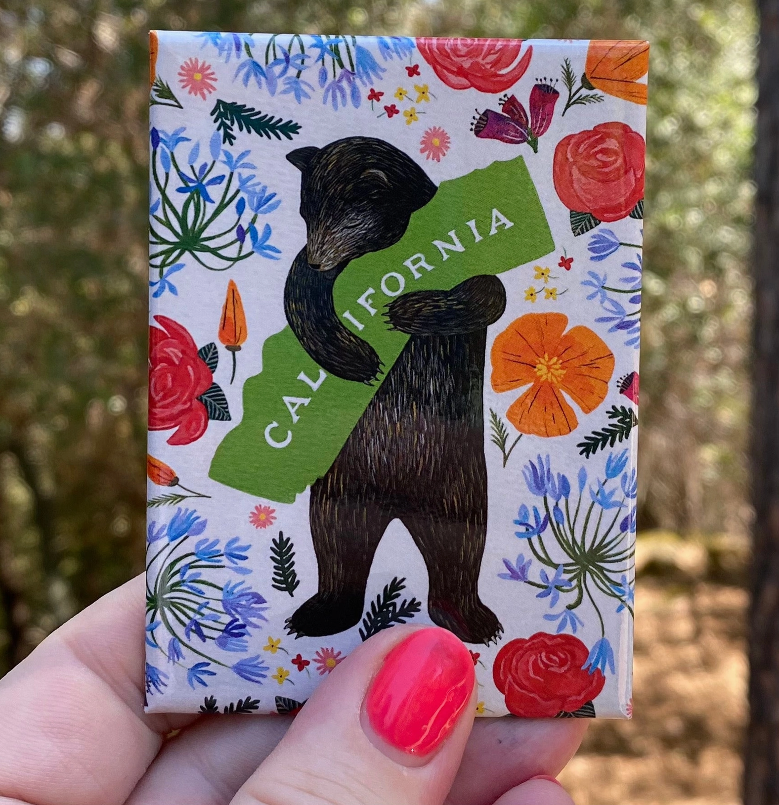 Botany Bear magnet