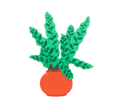 Calathea Lancifola sticker