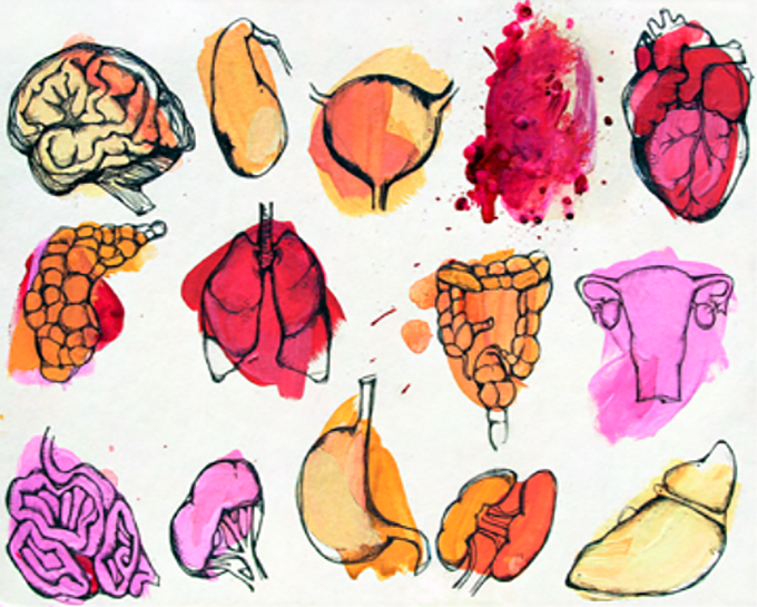 Organs Art Print