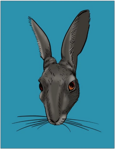 Watership Bunny greeting card