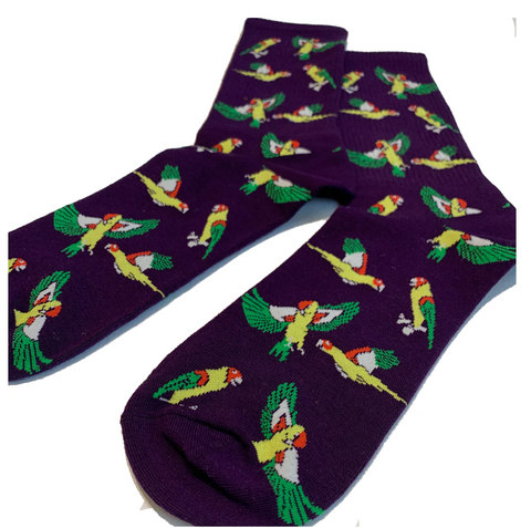Parrot socks MEN