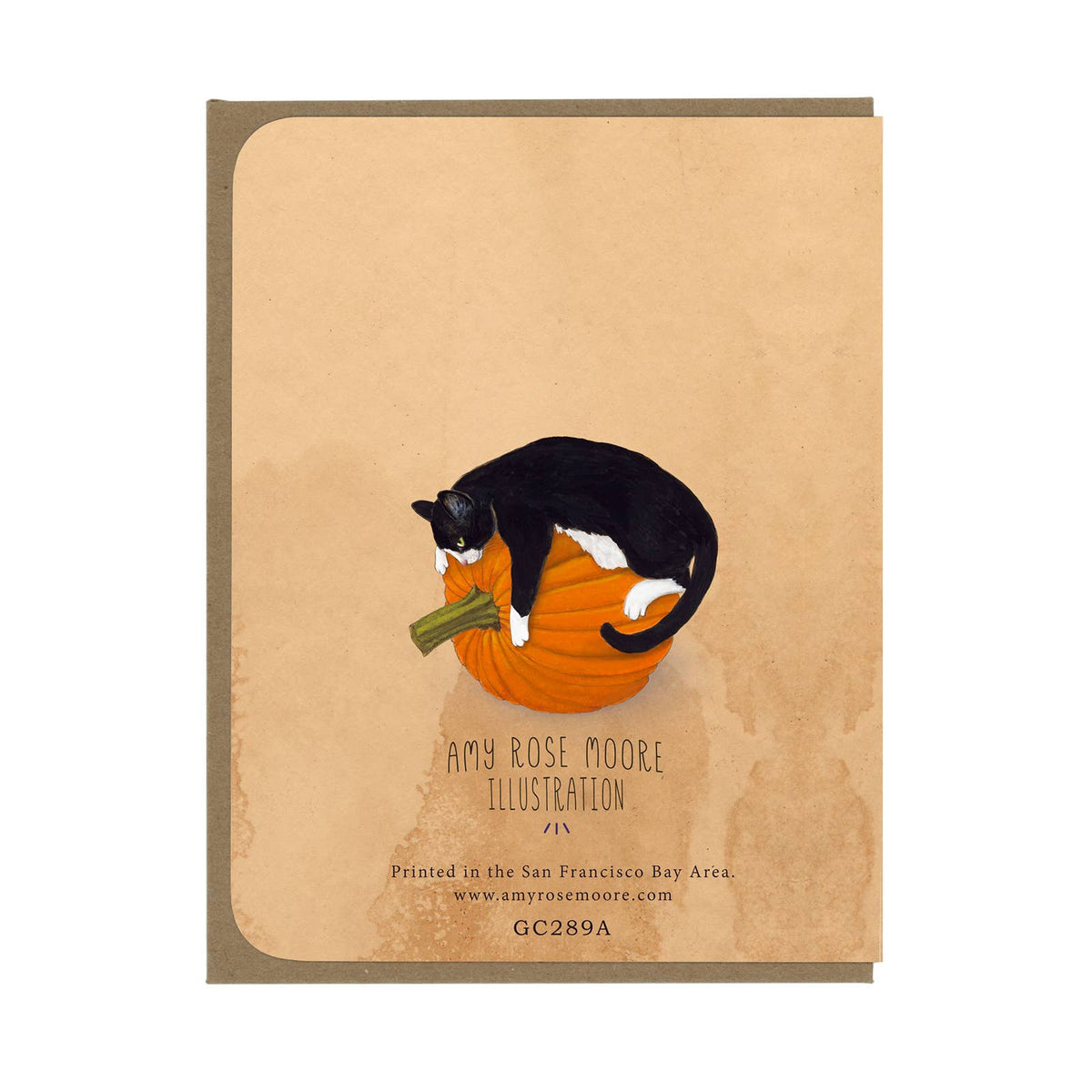 Halloween Bat Kitten Card    