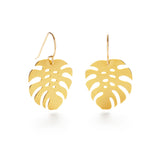 Monstera Drops