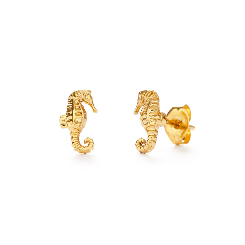 Seahorse studs
