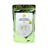 Cactus Embroidery Kit