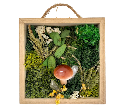 Moss & Mushroom DIY Kit