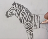 Zebra Summer Dress