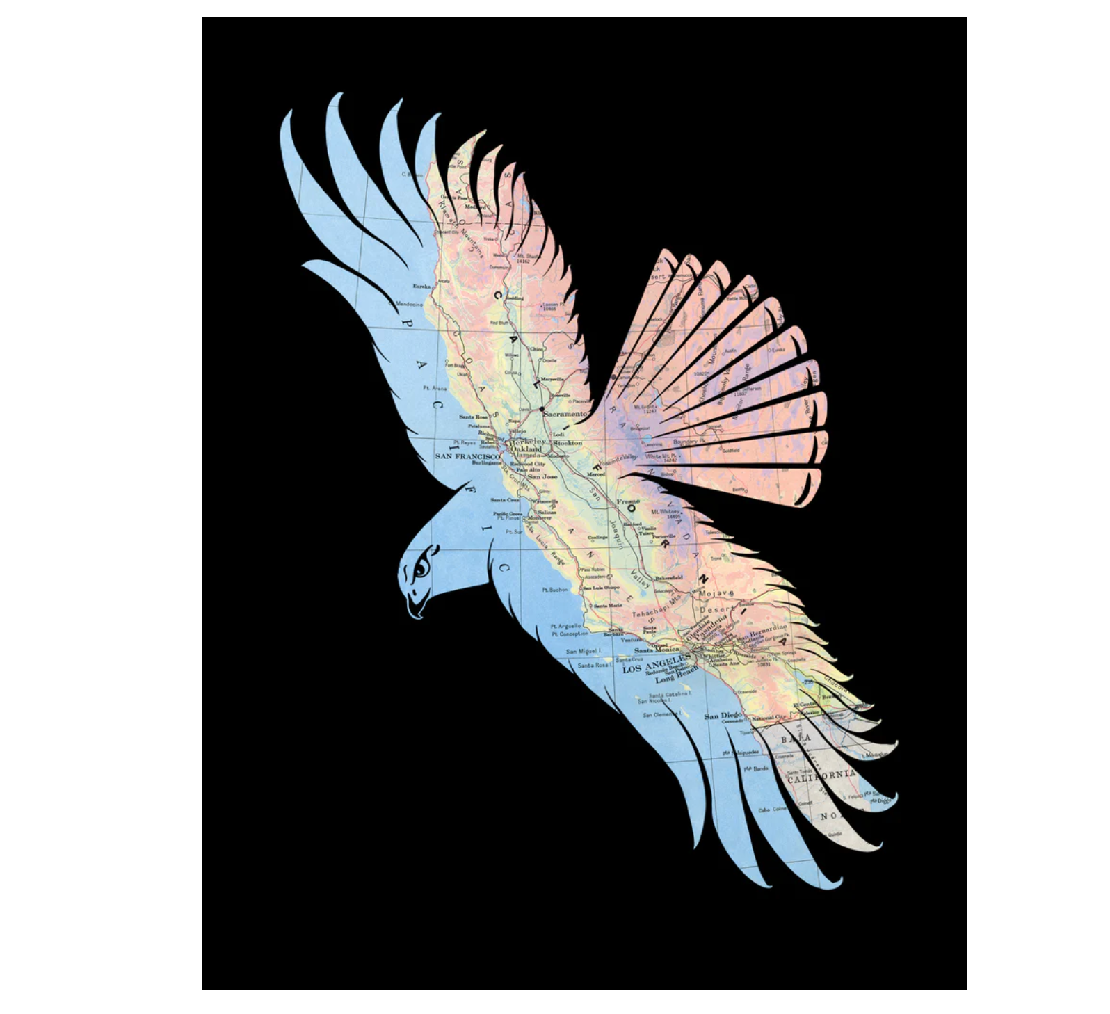 Hawk Map Cut Print