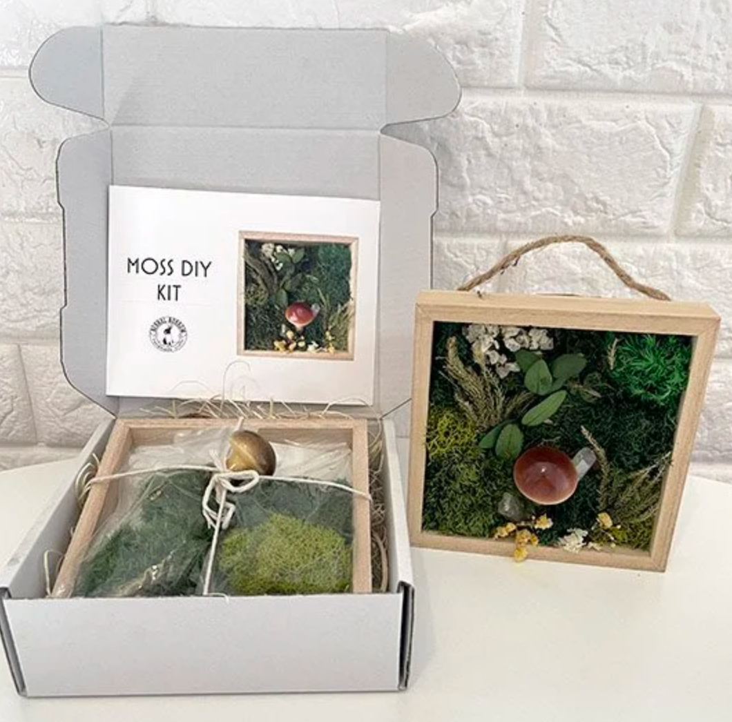 Moss & Mushroom DIY Kit