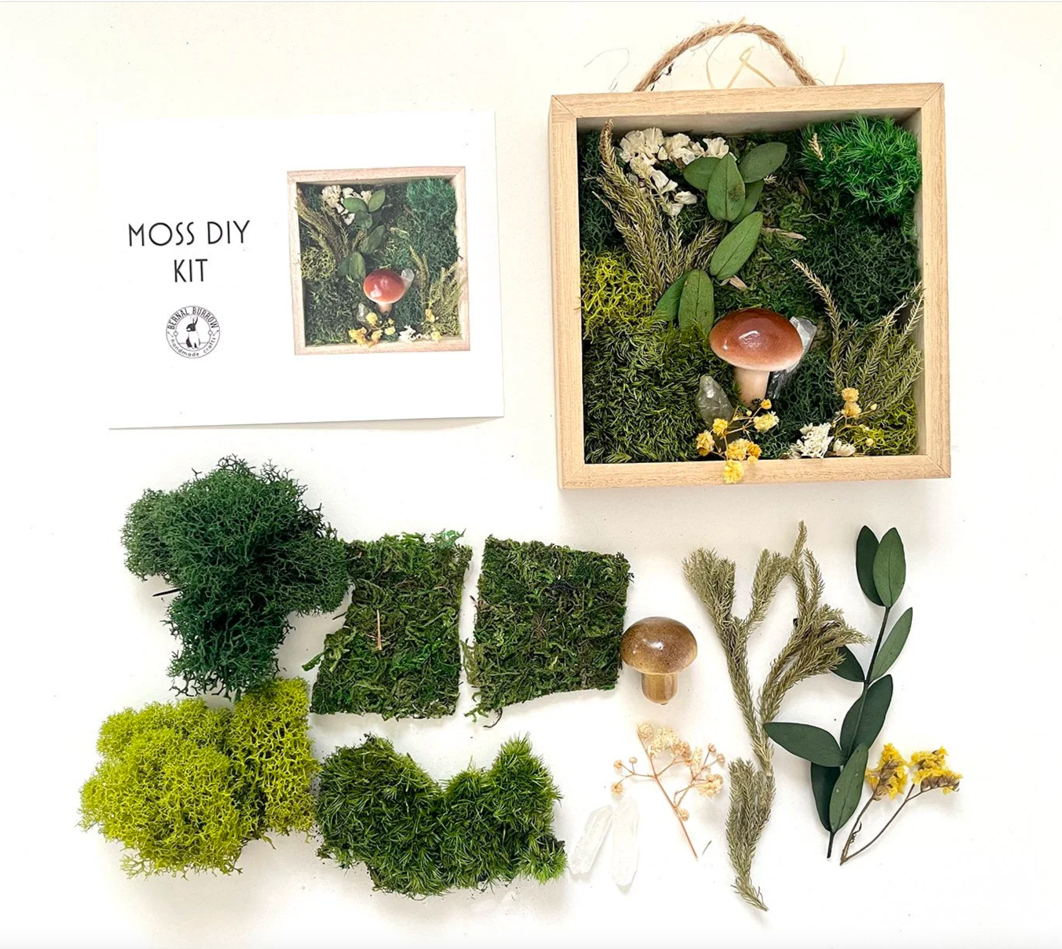 Moss & Mushroom DIY Kit