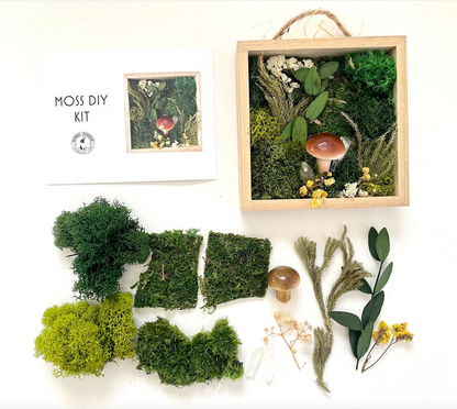 Moss & Mushroom DIY Kit