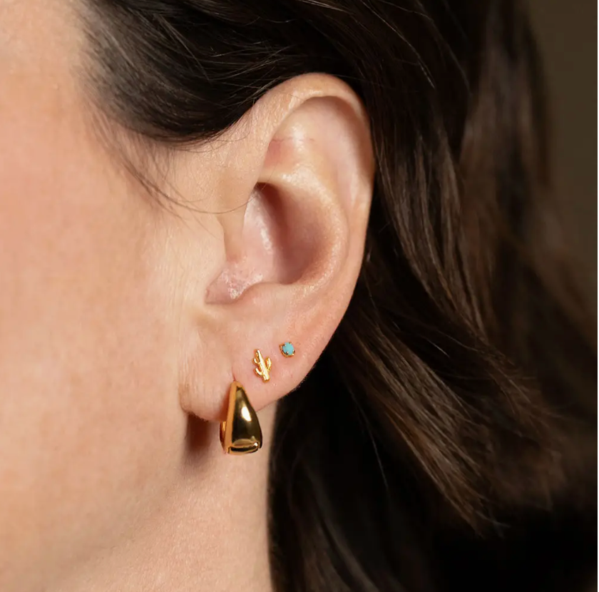 Cactus & Turquoise stud set