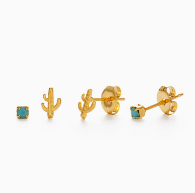 Cactus & Turquoise stud set