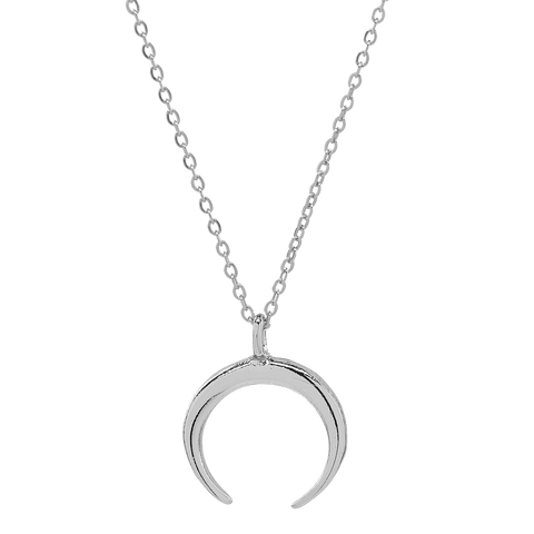 Horn necklace