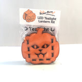 Cat-O-Lantern Kit