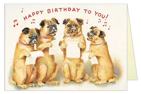 Happy Birthday Dogs card
