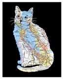 Feline Fine Print
