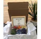 Moss DIY Kit - Rainbow