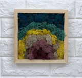 Moss DIY Kit - Cool