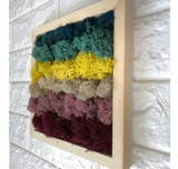 Moss DIY Kit - Cool