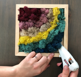 Moss DIY Kit - Cool