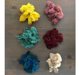 Moss DIY Kit - Cool