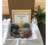 Moss DIY Kit - Cool