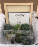 Moss DIY Kit - Button